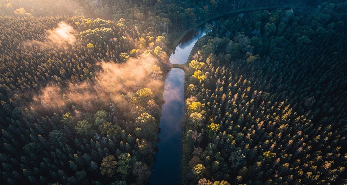 Your Messy First Draft Is Already Structured (You Just Can't See It Yet) - Featured Image